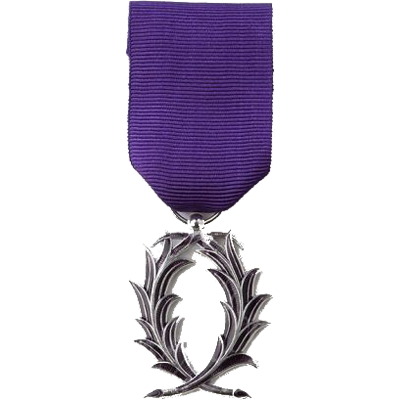 Croix de chevalier dans l'ordre des Palmes académiques