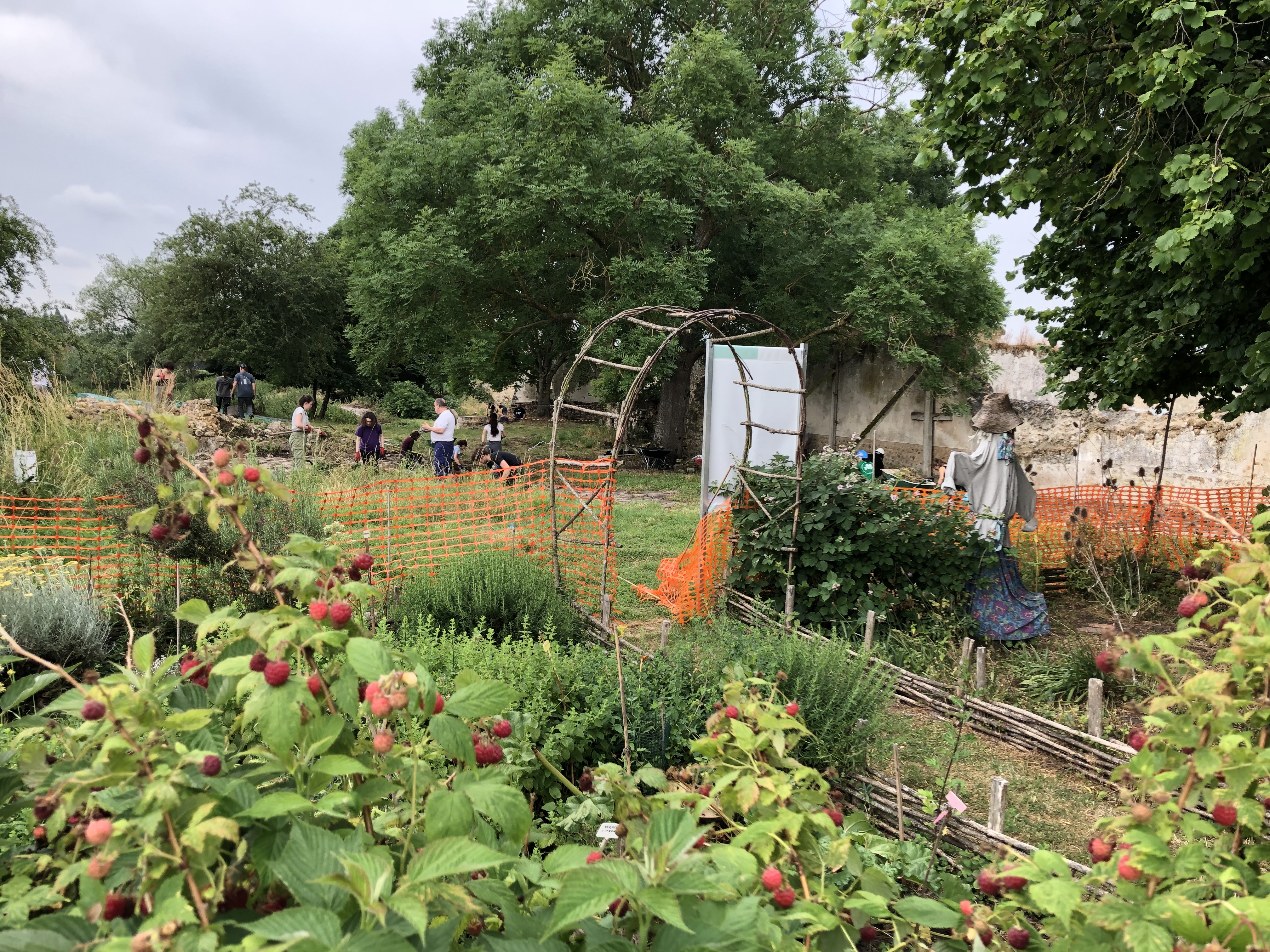 Vue sur la fouille depuis le jardin médiéval