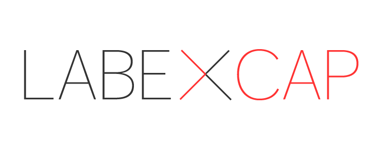 Logo du LabEx CAP