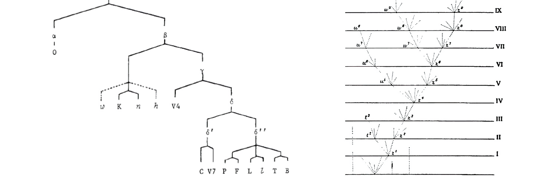 Stemma de la Chanson de Roland, selon Cesare Segre (1971) ; et arbre phylogénétique, tiré de Charles Darwin, On The Origin of Species (1859)