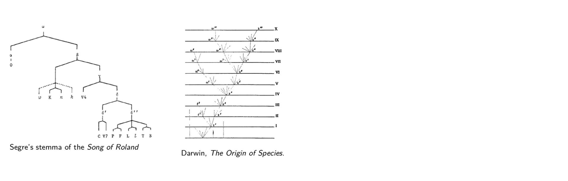 Stemma de la Chanson de Roland, selon Cesare Segre (1971) ; et arbre phylogénétique, tiré de Charles Darwin, On The Origin of Species (1859)