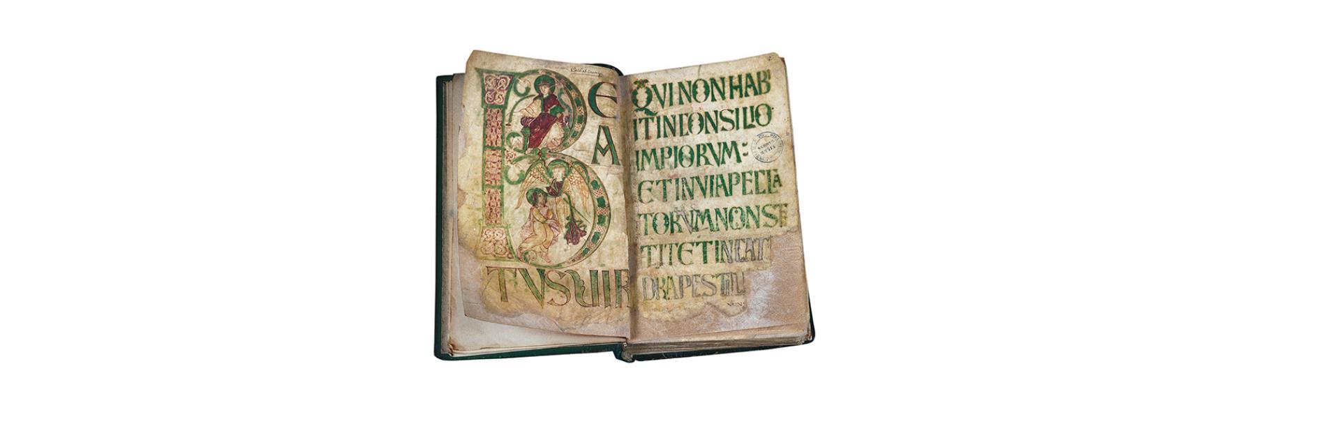 Image décorative : codex
