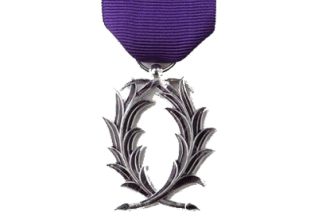 Croix de chevalier dans l'ordre des Palmes académiques