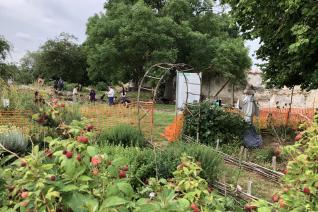 Vue sur la fouille depuis le jardin médiéval