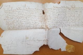 Lettres patentes d’Henri de Bourbon, roi de Navarre, seigneur souverain de Béarn, accordant à Jacques Dumirailh une place d’écolier pensionnaire au collège d’Orthez, Pau, 6 septembre 1582 