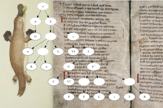 À gauche : Geroge Shaw, « The Duck-Billed Platypus, Platypus anatinus », The Naturalist's Miscellany, 10 (1799) (Domaine Public). À droite : Ms. Oxford, Bodleian Library, Digby 23, fol. 44v-45r (Angleterre, c. 1130-1140; Chanson de Roland dite d'Oxford) © Bodleian Library, CC-BY-NC. Au centre : Stemma de la Chanson de Roland, d’après C. Segre, Naples, 1971.