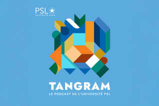Tangram : le podcast de PSL