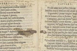 Image décorative : Catullus, Tibullus, Propertius 755 H 23, p. 37 (Leiden University Libraries CC BY)