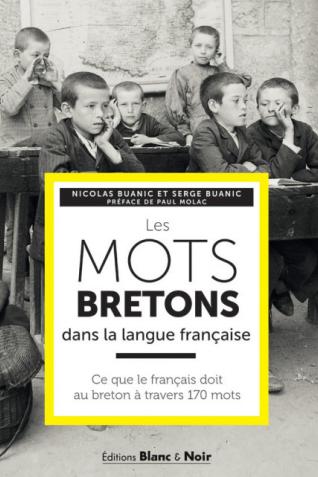 Image décorative : couverture de l’ouvrage "Les mots bretons dans la langue française"