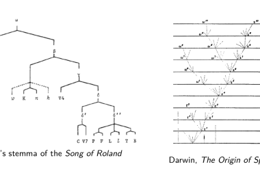 Stemma de la Chanson de Roland, selon Cesare Segre (1971) ; et arbre phylogénétique, tiré de Charles Darwin, "On The Origin of Species" (1859)