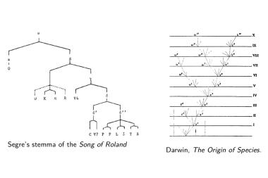 Stemma de la Chanson de Roland, selon Cesare Segre (1971) ; et arbre phylogénétique, tiré de Charles Darwin, "On The Origin of Species" (1859)