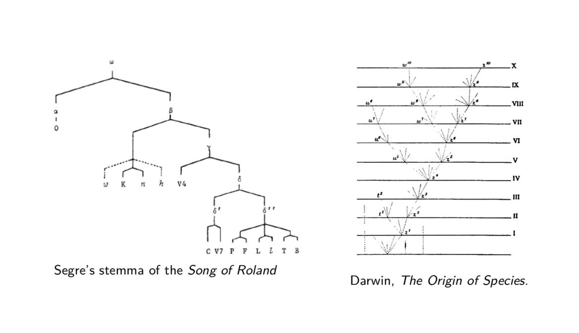 Stemma de la Chanson de Roland, selon Cesare Segre (1971) ; et arbre phylogénétique, tiré de Charles Darwin, "On The Origin of Species" (1859)