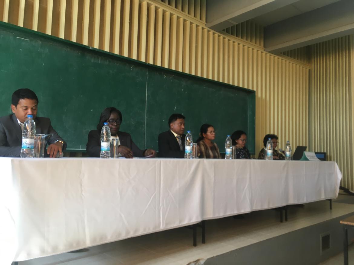 Colloque « Paysage et architecture d’Antananarivo. de la connaissance à la sauvegarde »