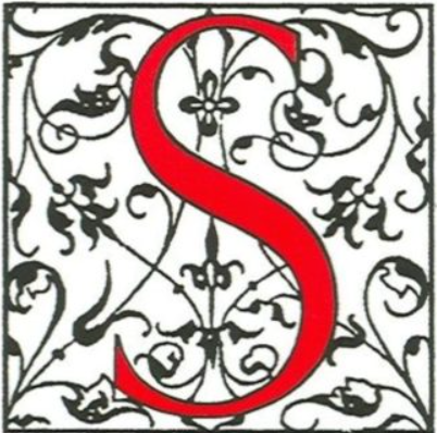 Image décorative : logo de la SFDES