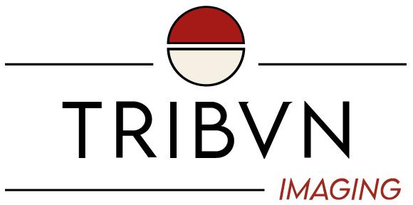 Image décorative : logo de Tribvn