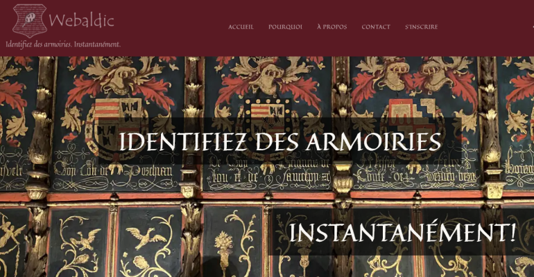 Image décorative capture écran page d'accueil du site Webaldic