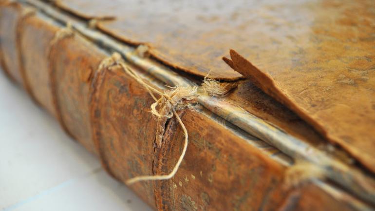 Image décorative : reliure de la bibliothèque